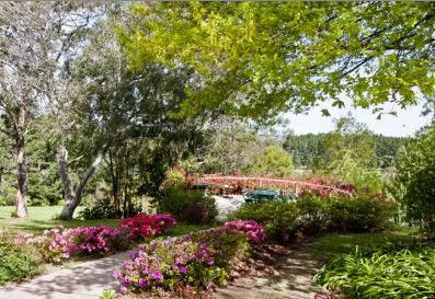 Bilpin Resort - Coogee Beach Accommodation 2