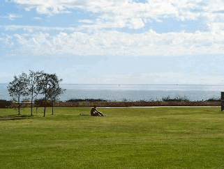 ALN House - Coogee Beach Accommodation 5