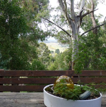 Snowy Mountains NSW Coogee Beach Accommodation