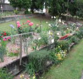 Kintail Homestay - Coogee Beach Accommodation