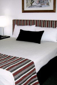 Cattle City Motor Inn - Coogee Beach Accommodation 1