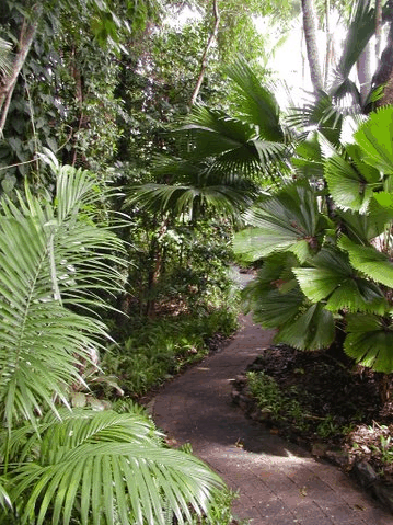 Rainforest Grove Holiday Resort - Coogee Beach Accommodation 1