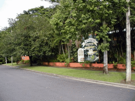 Rainforest Grove Holiday Resort - Coogee Beach Accommodation 2