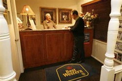 Orange Motor Lodge - Coogee Beach Accommodation 3