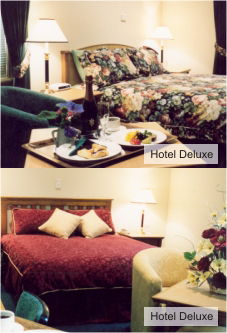  Coogee Beach Accommodation