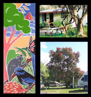 Bushland Cabins - Coogee Beach Accommodation 0