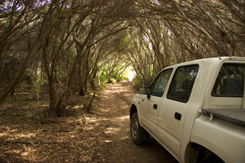 Nampara Cabins - Coogee Beach Accommodation 1