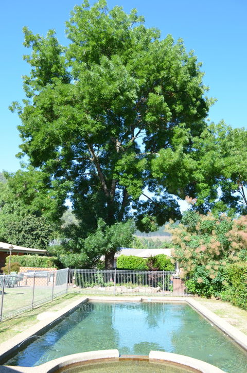 Bright Colonial Inn Motel - Coogee Beach Accommodation 4