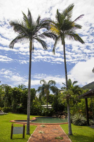 Lake Placid Tourist Park - Coogee Beach Accommodation 1