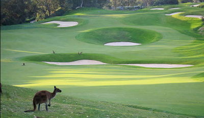 Joondalup Resort - Coogee Beach Accommodation 9
