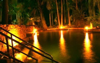 Mataranka Homestead Motel - Coogee Beach Accommodation 0