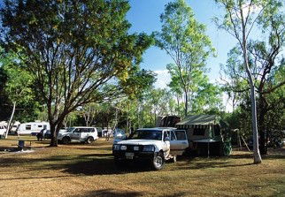 Mataranka Homestead Motel - Coogee Beach Accommodation 2