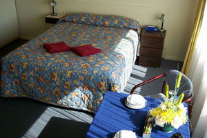 Beach Motor Inn - Coogee Beach Accommodation 2