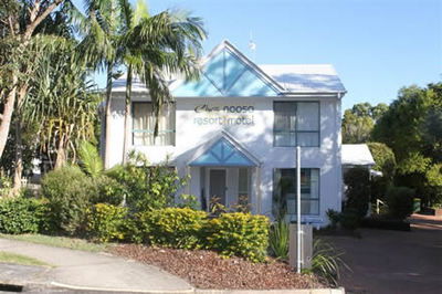 Chez Noosa - Coogee Beach Accommodation 4