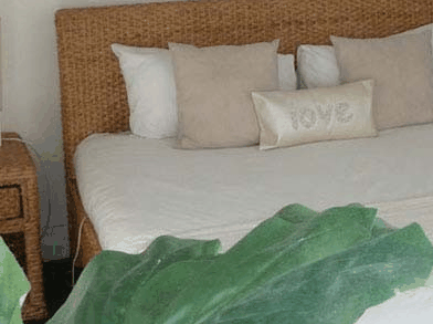 Caledonian Inn - Coogee Beach Accommodation