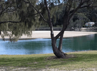 Ocean View Apartments - Coogee Beach Accommodation 3