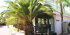 Desert Palms Resort - Coogee Beach Accommodation 2