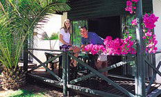 Desert Palms Resort - Coogee Beach Accommodation 3