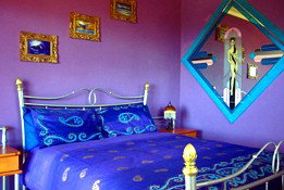 Airlie Beach Myaura Bed And Breakfast - Coogee Beach Accommodation 0