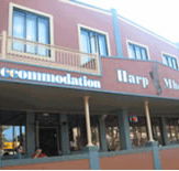 Harp Deluxe Hotel - Coogee Beach Accommodation