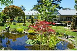 Cowes VIC Coogee Beach Accommodation