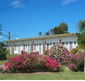 Sea Breeze Motel - Coogee Beach Accommodation