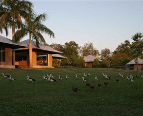 Feathers Sanctuary - Coogee Beach Accommodation 0