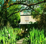 Dennis Cottage - Coogee Beach Accommodation