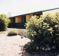 The Fig Tree Bed  Breakfast - Coogee Beach Accommodation
