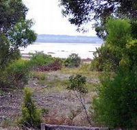 Lake Saint Clair Nature Retreat - Coogee Beach Accommodation
