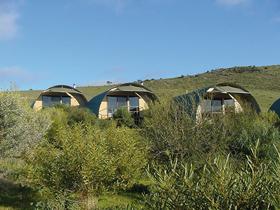 Saunders Gorge Sanctuary - Lodges - Coogee Beach Accommodation 0