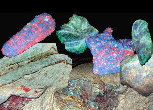 Umoona Opal Mine - Coogee Beach Accommodation 1