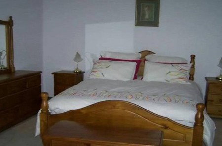 Rainforest Retreat - Coogee Beach Accommodation 2