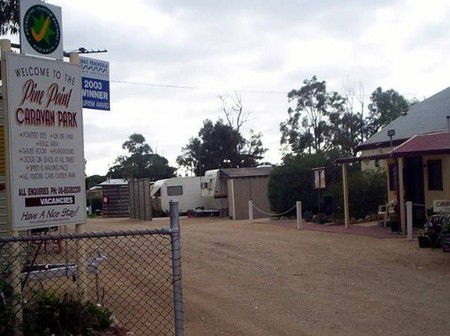 Pine Point Caravan Park - Coogee Beach Accommodation 2