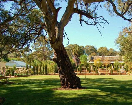 Jacobs Creek Retreat At Moorooroo Park - Coogee Beach Accommodation 3