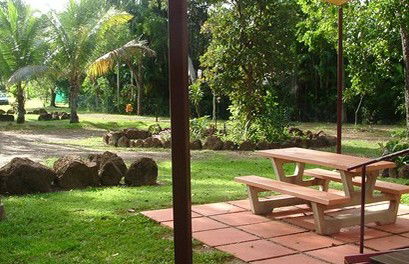 Virginia Heliconia Farm - Coogee Beach Accommodation 0