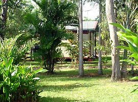 Virginia Heliconia Farm - Coogee Beach Accommodation 3