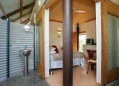 Feathers Sanctuary - Coogee Beach Accommodation 2
