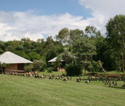 Feathers Sanctuary - Coogee Beach Accommodation 3