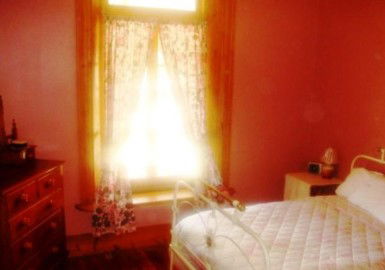 Old Willows Country Estate - Coogee Beach Accommodation 3