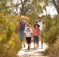 Long Island Caravan Park Cabins - Coogee Beach Accommodation