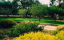 Naracoorte Cottages - Pinkerton Hill - Coogee Beach Accommodation 2
