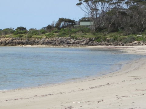 Wallaby Beach House - Coogee Beach Accommodation 1