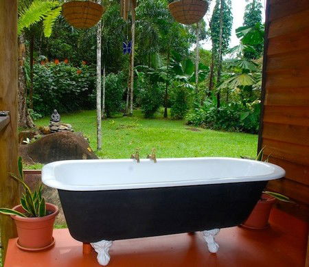 Stonewood Retreat - Coogee Beach Accommodation 1