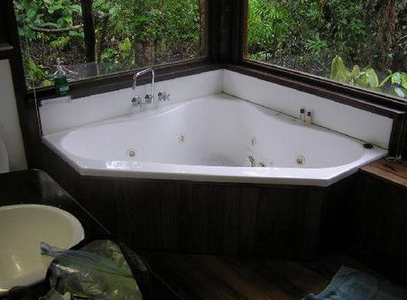 The Canopy Rainforest Tree Houses And Wildlife Sanctuary - Coogee Beach Accommodation 0