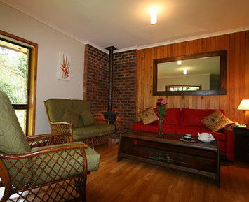 The Canopy Rainforest Tree Houses And Wildlife Sanctuary - Coogee Beach Accommodation 1
