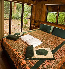 The Canopy Rainforest Tree Houses And Wildlife Sanctuary - Coogee Beach Accommodation 2