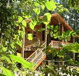 Rivers Edge Rainforest Retreat - Coogee Beach Accommodation