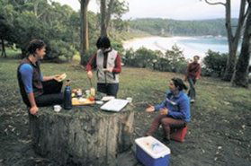 Fortescue Bay Camping Ground - Coogee Beach Accommodation 0