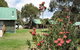 Derwent Bridge Chalets And Studios - thumb 0